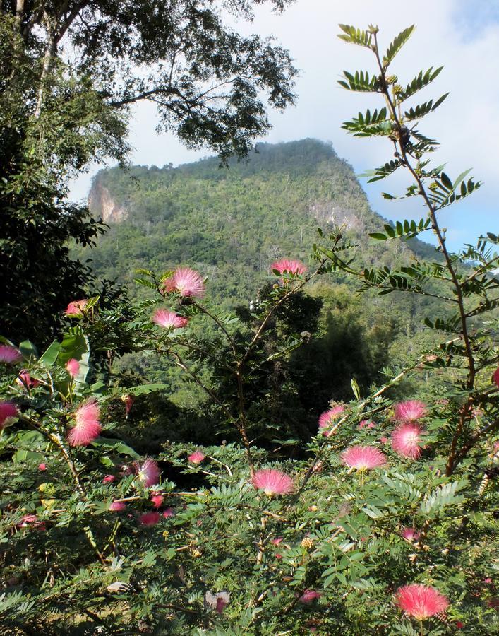 Chiang Dao Roundhouses Kültér fotó